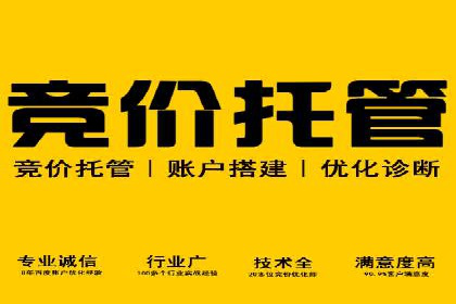成功SEM主管的营销策略案例分享